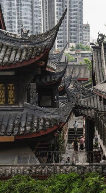 分账溯源体系该该怎么办办做-优德88
