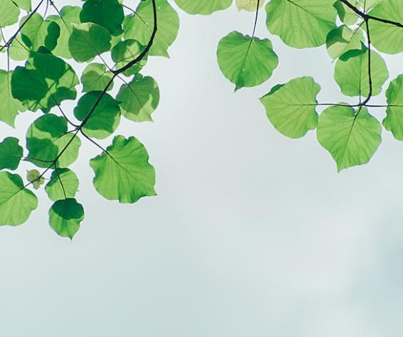 防串货溯源扫码系统如何实施？揭秘高效防串货解决方案-优德88