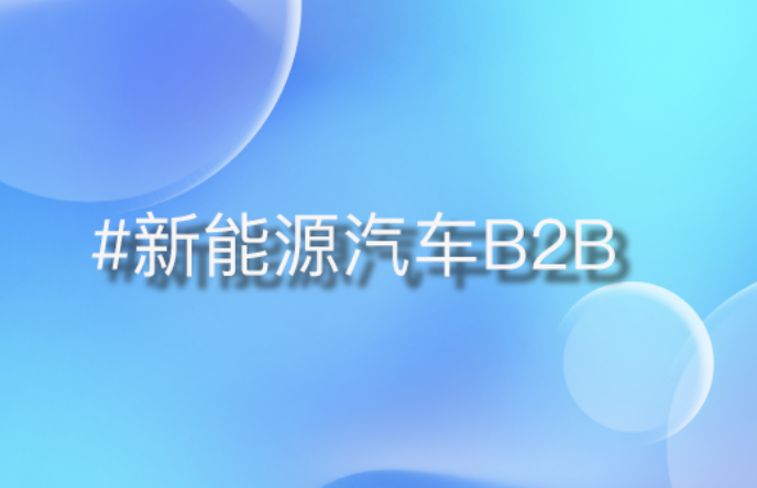 助力新能源汽车企业：构建高效B2B平台，引领行业数字化转型浪潮
