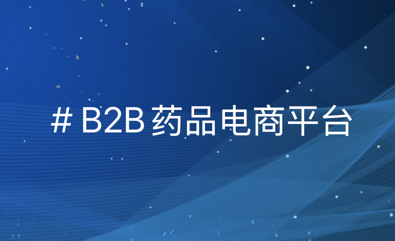 数智引领 B2B 药品电商新纪元_助力企业数智化转型与医药流通生态重构